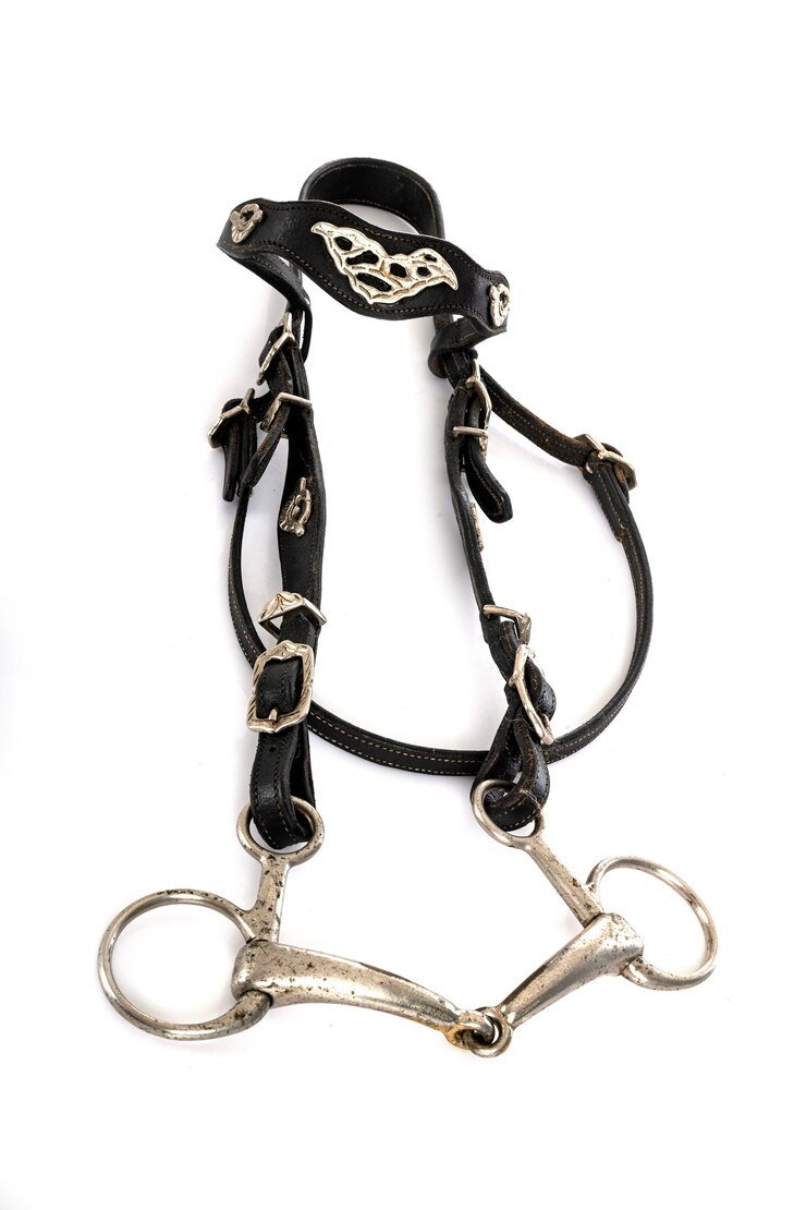 Premium leather horse bridle with padded browband and stainless steel buckles